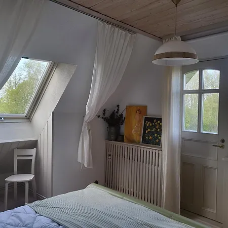 House Tolsburg With Sauna * Toolse