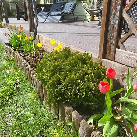 House Tolsburg With Sauna