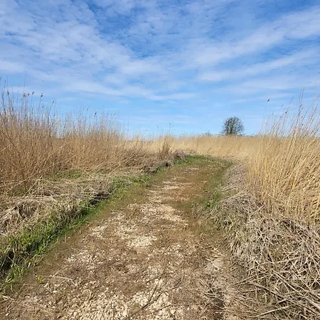Vikendica House La With Sauna Toolse