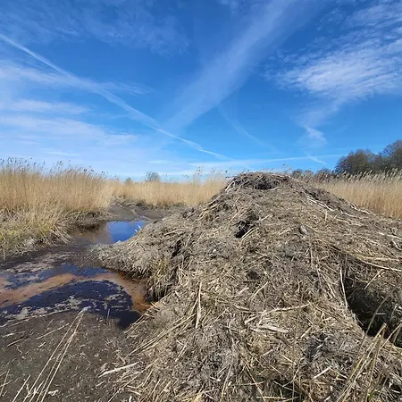 Vikendica House La With Sauna Toolse