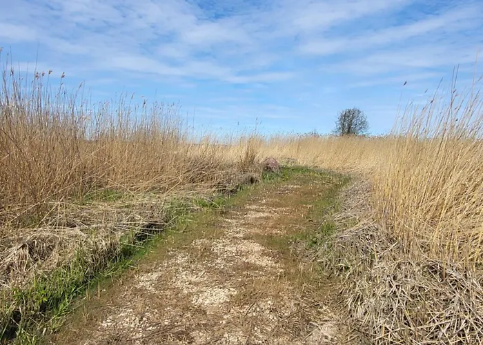 Vikendica House La With Sauna Toolse
