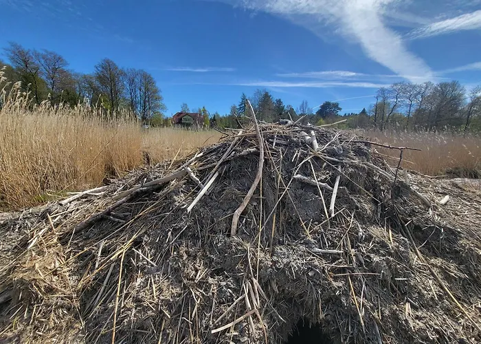 Vikendica House La With Sauna