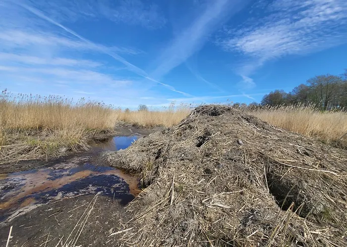 Vikendica House La With Sauna Toolse